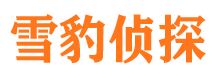 雅江市婚姻出轨调查